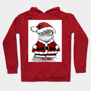 Super Puff Santa Hoodie